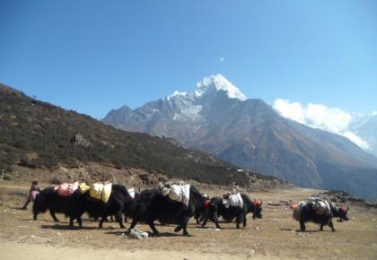 Ama-Dablam-Base-Camp-Trek--1