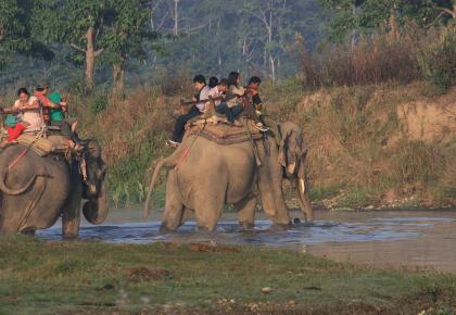 Jungle-safari-in-nepal