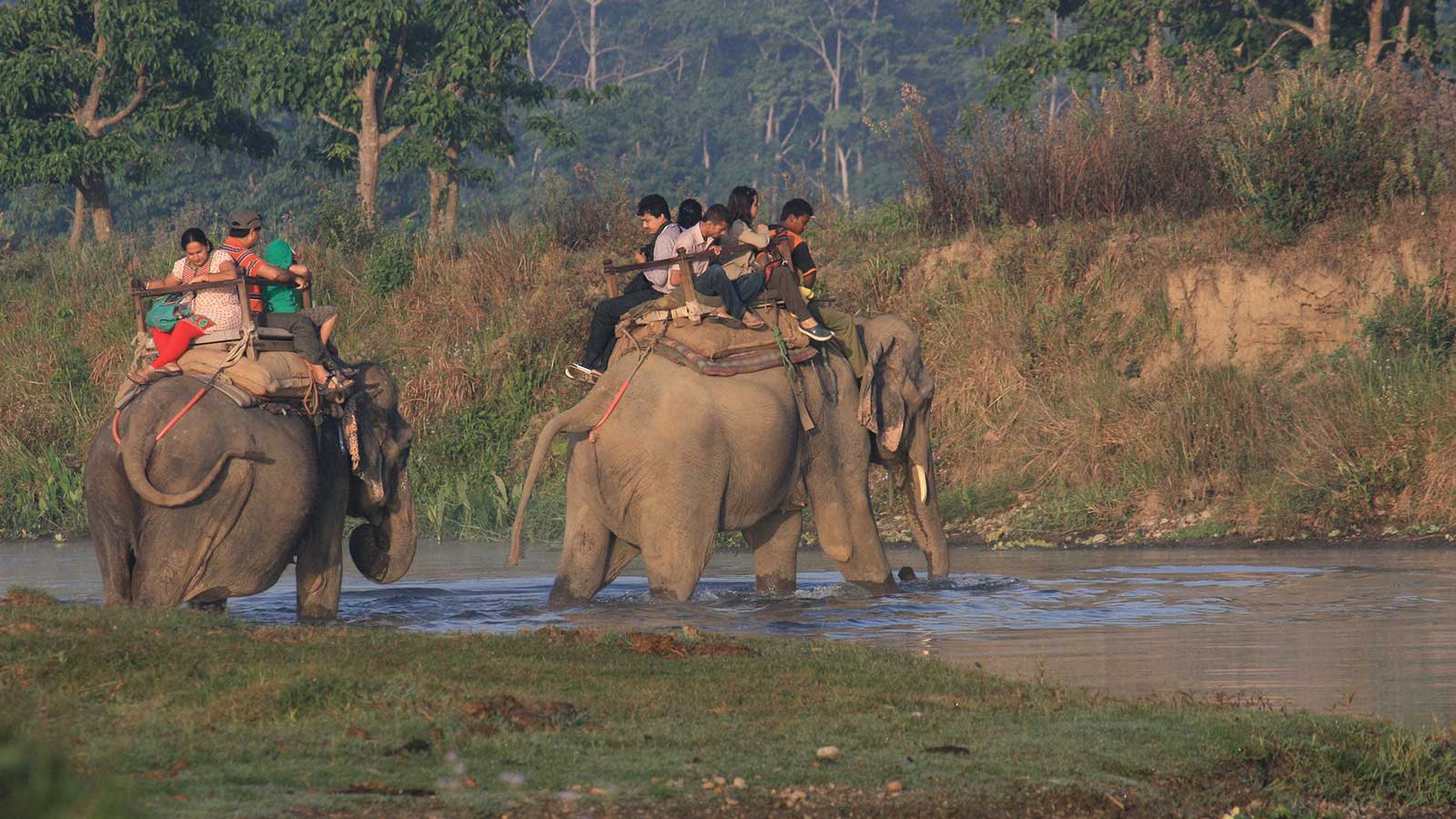 Jungle-safari-in-nepal